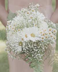 The flowers may have pink, violet, or white petals, and feature tiny yellow button centers. 500 Daisies Wedding Flowers Ideas Wedding Flowers Wedding Wedding Bouquets