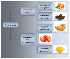 Les Fruits Les Jardins Du Gue