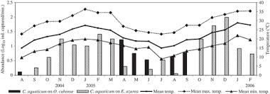 Image result for Oxycaryum