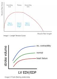 Nurse bob's micu/ccu survival guide cardiology in critical care starling's law. Physiology Starling Relationships Article