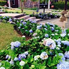 Mayat mangsa keempat ditemui di keda sungai udang. Photos At Gunung Jerai Yan Kedah Other Great Outdoors