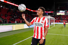 Mariska manshanden is on facebook. Donyell Malen Binkie En Boer Tegelijk Foto Bd Nl