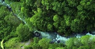 Artvin ilindeki hatila vadisi milli parkı'nda inşa edilen türkiye'nin en yüksek cam seyir terasının 2016 başında teras tamamlandığında yılda yaklaşık 100 bin kişinin milli parkı ziyaret etmesi bekleniyor. Hatila Vadisi Milli Parki Iki Teker Cok Gezer