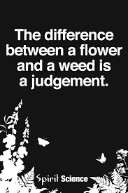 Love It Life Quotes Inspirational Words