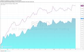 Prime Transaction Indicele Bet A Avut Cea Mai Bună Vară Din Ultimii 10 Ani Financial Intelligence