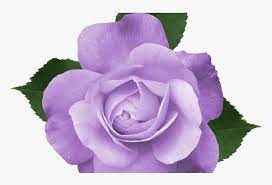Painted in a unicorn inspired rainbow color palette featuring pastel colors such as purple, pink. Purple Flower Vine Clipart Free Flowers Healthy Transparent Background Purple Flowers Png Png Download Kindpng