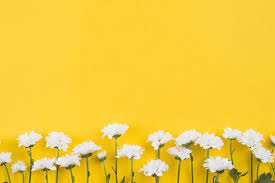 Flowers Background Copy Space Flower Backgrounds Flower Background Images Aesthetic Desktop Wallpaper
