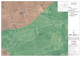 Image result for Thesium multiramulosum