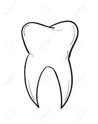 Zähne ziehen aufgrund von parodontose. Sketch Of The Tooth On White Background Isolated Royalty Free Cliparts Vectors And Stock Illustration Image 26502470
