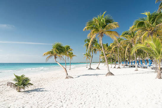 9,800+ Tulum Beach Stock Photos, Pictures & Royalty-Free Images - iStock