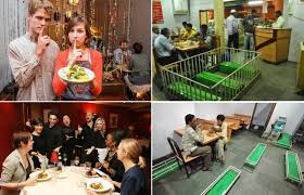 اغرب المطاعم سفاري نت