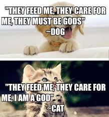 Pin On Humor Clean And Sarcastic