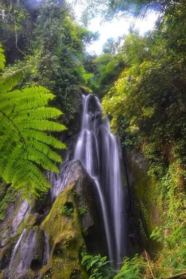 Air Terjun Krisik