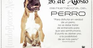 May 12, 2021 · descubren que gimeno volvió a casa de sus padres para dejar al perro el día de la desaparición también ha trascendido que el padre de anna y olivia tenía pareja, pero la guardia civil ya la. Mundoboxer Net 26 De Agosto Dia Internacional Del Perro