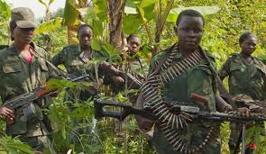 Fct implementation guide based on un/edifact d95b version. Codeco Militias Attempt To Free Colleagues From Prison Humangle