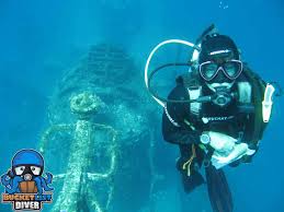 Diving Australia The Ningaloo Reef Or The Great Barrier Reef Scuba Diving Reviews Blog