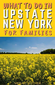 Things To Do In Upstate Ny With Kids Meraki Mother In 2020 Family Vacation Travel Usa Travel Guide Family Friendly Vacation Destinations