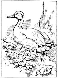 Download or print easily the design of your choice with a single click. Coloring Rocks Animal Coloring Pages Duck Coloring Pages Horse Coloring Pages
