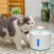Usb Elektrikli Kedi Kopek Icme Cesmesi Otomatik Hayvan Mama Kabi Icme Su Sebili Icecek Filtresi Kopek Besleme Aliexpress