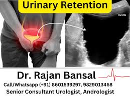 Image result for Urinary Retention