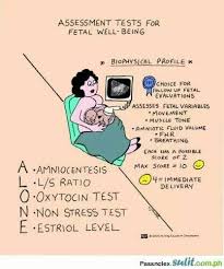 Image result for Biophysical Profile