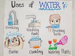 Uses Of Water 1st Grade Teks Anchor Chart Save Water
