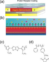 Polysilicon gate fet's have replaced virtually all of the older devices using. A Schematic View Of The Bio Fet Device B Operation Principle Download Scientific Diagram