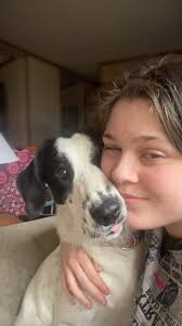 Found dog near old Kmart