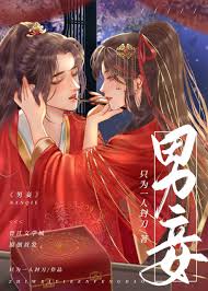 男妾（女尊）》只为一人封刀_晋江文学城_【原创小说|言情小说】