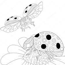 Marienkafer Fliegen Malvorlage Coloring And Malvorlagan
