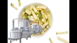 Commercial Vacuum Frying Machine Deep Fryer For Fruit Food Industry Fries Food
