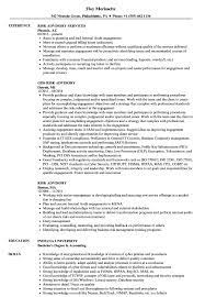 Job description and duties for risk management specialist. Risk Advisory Resume Samples Velvet Jobs