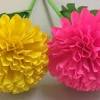How to make fresh flowers last longer. 1