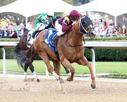 Maybe you would like to learn more about one of these? Papa Dude S Free Oaklawn Picks For Saturday 4 10 21 Thoroughbred Racing Dudes