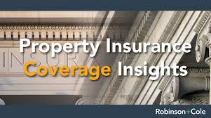 Regulatory federalism and the national association of. Property Insurance Coverage Insights