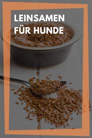 Leinsamen Fur Hunde Richtig Futtern Bei Verstopfung Durchfall Und Darmsanierung Hunde Ernahrung Hundeernahrung Hundenahrung