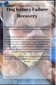 Pin By Joy On Doggy Renal Diet Kidney Diet For Dogs Renal Dog Food Renal Recipes