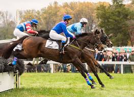Proceeds benefit the continued maintenance and preservation of winterthur's garden and estate. Montpelier Steeplechase Hunt Races Virginia Horse Racing