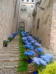 We did not find results for: Tiempo De Flores Girona Temps De Flors Eventos