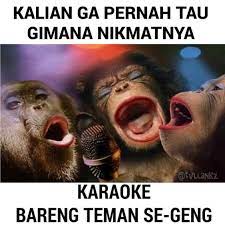  Img 5230 Jpg 1125 1125 Hewan Ulang Tahun Gambar Lucu