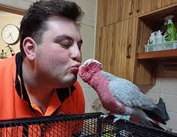 I don't wanna go to work but ya gotta do what ya gotta do. *forehead kiss*  Hope you have a great day. :) ~Claire