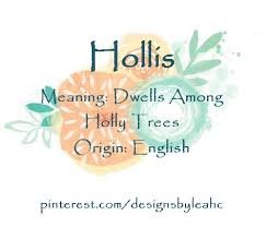 Hollis Baby Boy Names Names With Meaning Boy Names