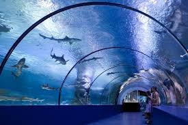 Antalya Aquarium