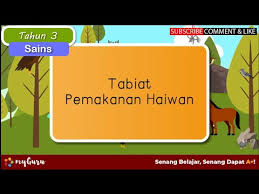 Unit 4 72 haiwan 74 76 • pengelasan haiwan 77 • tabiat pemakanan haiwan 77 • kegigian haiwan 78 78 • perubahan tabiat pemakanan haiwan • santai sains • ingat semula • mari. Haiwanvlogs Latihan Tabiat Pemakanan Haiwan Tahun 3