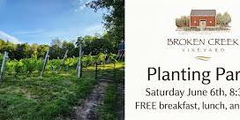 Planting Party at Broken Creek Vineyard