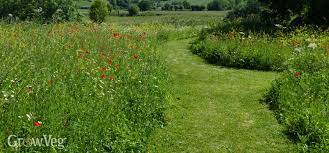 Then figure out how to make them look nice. How To Plan A Low Maintenance Garden