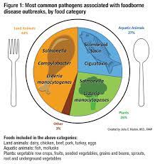 When outbreaks occur, the sooner the cause is identified, the sooner the outbreak can be slowed and stopped. Foodborne Disease Outbreaks An Ongoing Public Health Problem American Academy Of Pediatrics