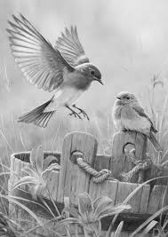 Easy pencil drawings of lighthouses. Vogels Animal Drawings Pencil Drawings Of Animals Art Drawings Sketches Simple