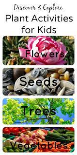 Through hundreds of successful esl classes, we know what does and does not work. Plant Activities Fantastic Fun Learning Plant Activities Gardening For Kids Preschool Garden