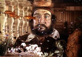 Dis-Order: Every Disney Film